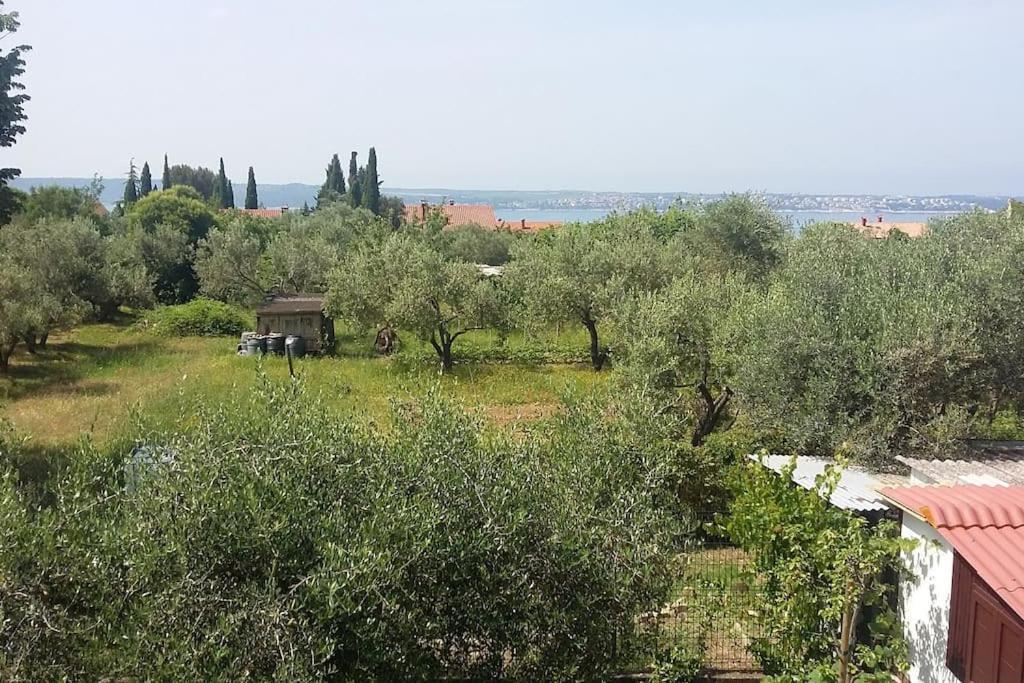 Apartma Iva Piran Luaran gambar